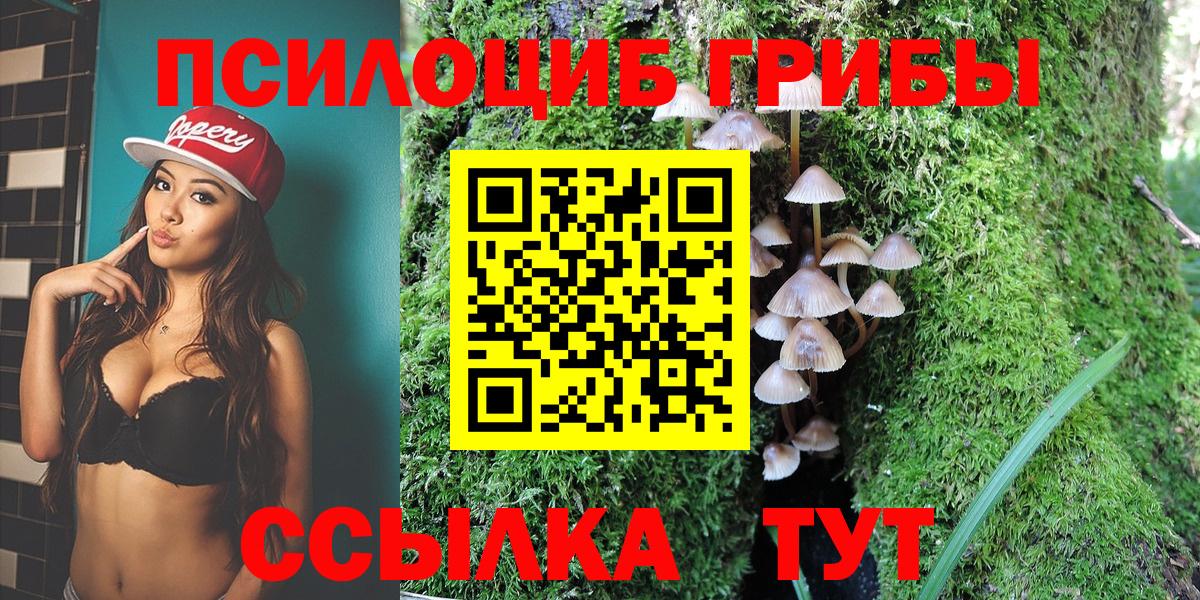 Луховицы  Псилоцибиновые грибы мицелий  Вход с VPN 