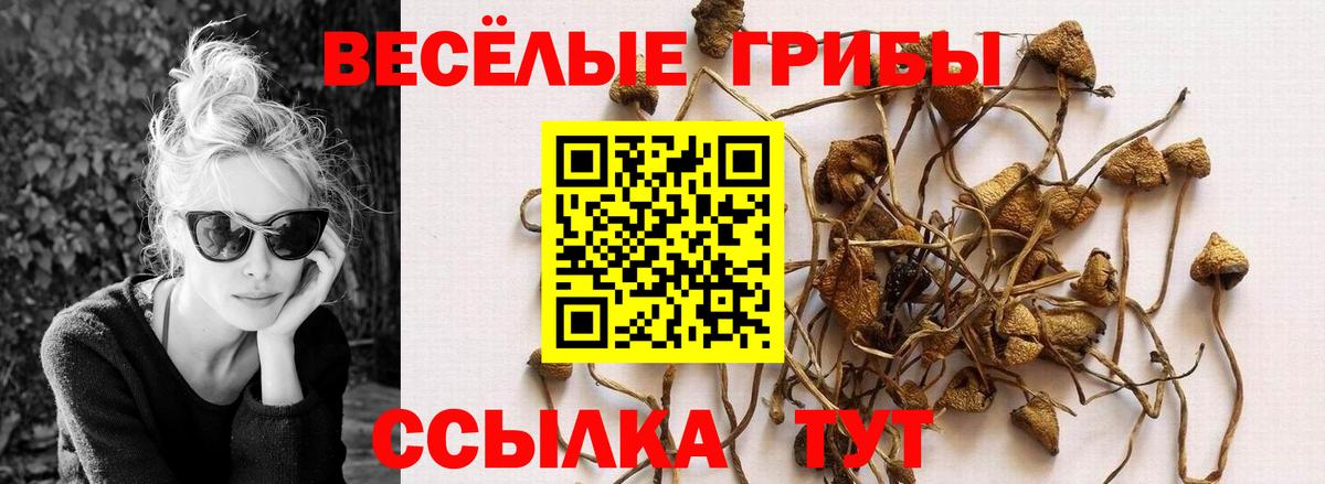 Псилоцибиновые грибы GOLDEN TEACHER Луховицы